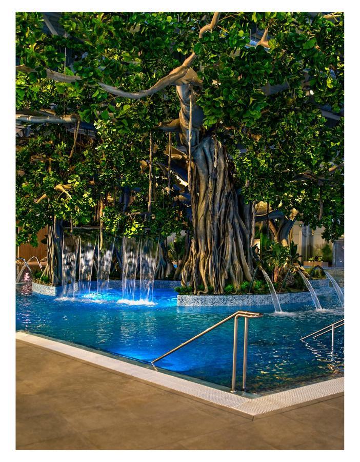 Amazonia Apartments Τιμισοάρα Εξωτερικό φωτογραφία